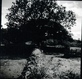 4126-38.jpg