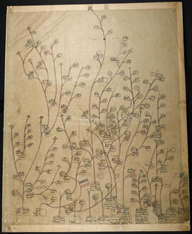 Genealogía de la familia Gólcher que vino al país en 1855 junto a la colonia alemana del Barón Ca...