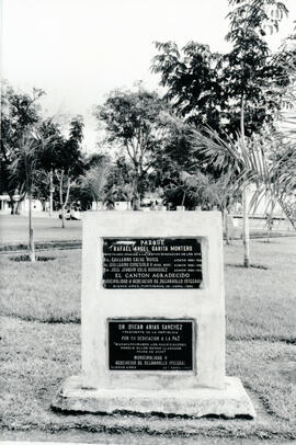 6253-3.jpg