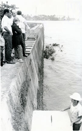 282-7.jpg