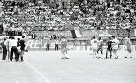 6277-19.jpg