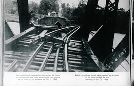 4851-4.jpg