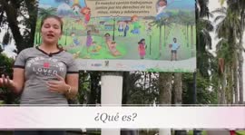 Video titulado ¿Qué son comunidades amigas de la infancia?, programa de la municipalidad de Pococí