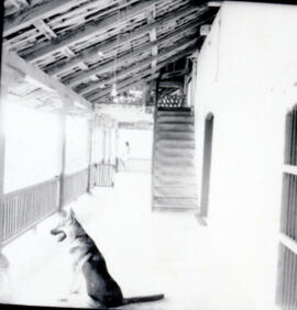 4121-15.jpg