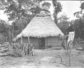 Negativo de un rancho de paja de Térraba. Región de Golfo dule. Este negativo forma parte del doc...