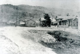 Fotografía panorámica de Turrialba. Se observan algunas viviendas de los empleados del ferrocarri...