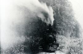 Fotografía de la Locomotora 25 de la compañía del Ferrocarril ubicada cerca de Las Lomas, se pued...