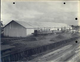 077331