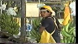 Video de documental sobre el impacto en el ambiente y en la salud de la actividad bananera en la ...