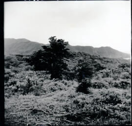 4128-19.jpg