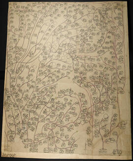 Genealogía de las familias de Alajuela