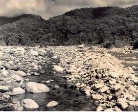 Fotografía del cruce de la carretera Corredores-Sabalito. Río Caño Seco, sección 2-3. Puntarenas