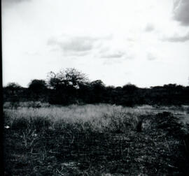 4118-6.jpg