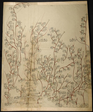 Open original Document numérique