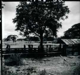 4126-30.jpg