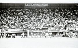 6277-13.jpg