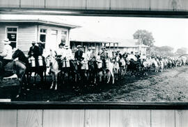 Fotografía con la imagen del desfile de lecheros a caballo, para recibir la bendición de San Isid...