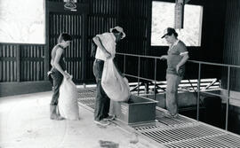 Fotografías de la Cooperativa de Caficultores de Dota R.L., en Santa María de Dota. Fundada en 1963.