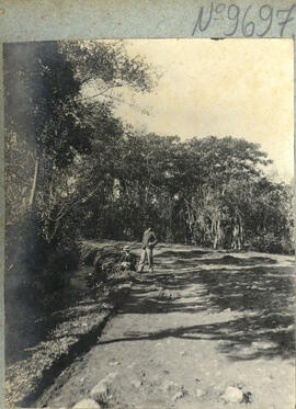 Fotografía en albun de un camino pedregoso de un sitio no identificado. A uno de los lados corre ...