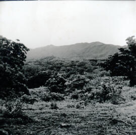 4128-20.jpg