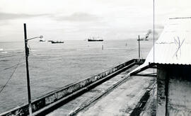 282-8.jpg