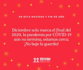 Afiches con campaña En esta navidad y fin de año.. con mensajes referentes a evitar aglomeracione...