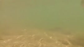 Video testimonial titulado Pesca en Río Chiquito, Tilarán 2014. Sobre día de pesca deportiva con ...
