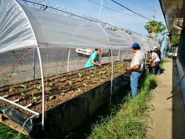 Fotografía de personas beneficiadas con el programa de agricultura urbana impulsado por el Consej...