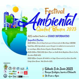 Afiche informativo sobre actividades a llevarse a cabo como parte del Festival Ambiental Ciudad B...