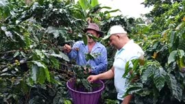 Video del reportaje titulado Familia Alvarado Rojas distrito El Porvenir de Nandayure Guanacaste