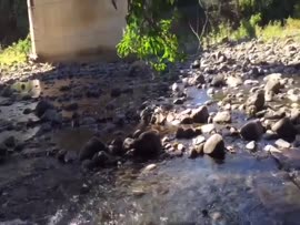 Video testimonial titulado Río Abangares