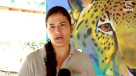 Video sobre el Centro de Rescate y Santuario Las Pumas, ubicado en Cañas