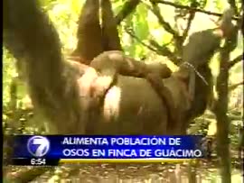 Video de reportaje de centro de rescate animal, ubicado en Pueblo Nuevo de Gúacimo. El centro se ...