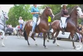 Video titulado Tope Nandayure de Guanacaste