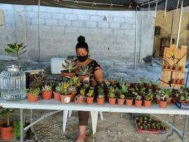 Fotografías del mercadito bagaceño, proyecto de la Oficina de Gestión Social de la Municipalidad ...