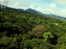 Video testimonial titulado Volando de nuevo sobre San Joaquín de Abangares