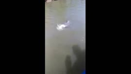 Video testimonial titulado Pesca de Corvina estero de Colorado Abangares