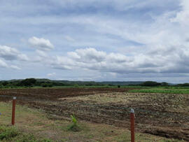 Fotografías del proceso constructivo del proyecto de riego en Sardinal de Carrillo, impulsado por...